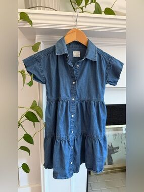 Crewcuts Denim Blue Button-Front Tiered Dress